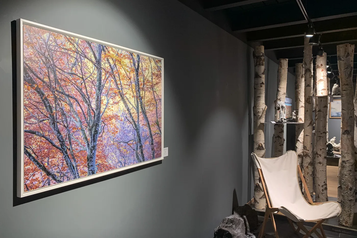 Exposition de photographies d'art en Suisse - Céline Jentzsch - Morges